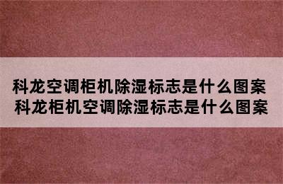 科龙空调柜机除湿标志是什么图案 科龙柜机空调除湿标志是什么图案